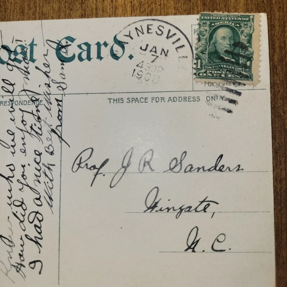 1908 Ivy Gap Craggy Mountain‎ Asheville NC Postcard Land of the Sky 1¢...